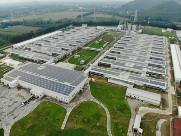 “掘金”下一个风口: 304永利电力为正大蛋业5.46MW屋顶项目提供综合解决方案