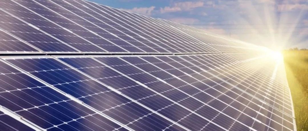  绿穹之下追光人