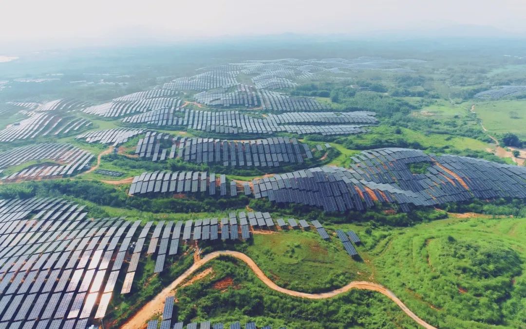 300MW！304永利科技广东农垦红十月农场农光互补项目满发并网